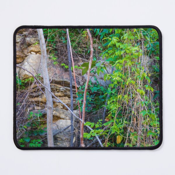 Item preview, Overgrown Garden Wall With Vines, Branches, and Rough Stone Texture designed and sold by Nmallia.