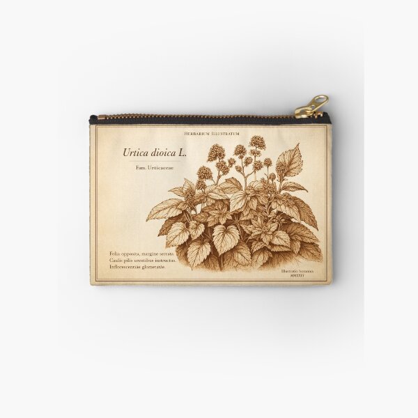 Item preview, Urtica dioica L. – Classical Botanical Herbarium Print (Sepia Copperplate) designed and sold by Colorshow-relax.