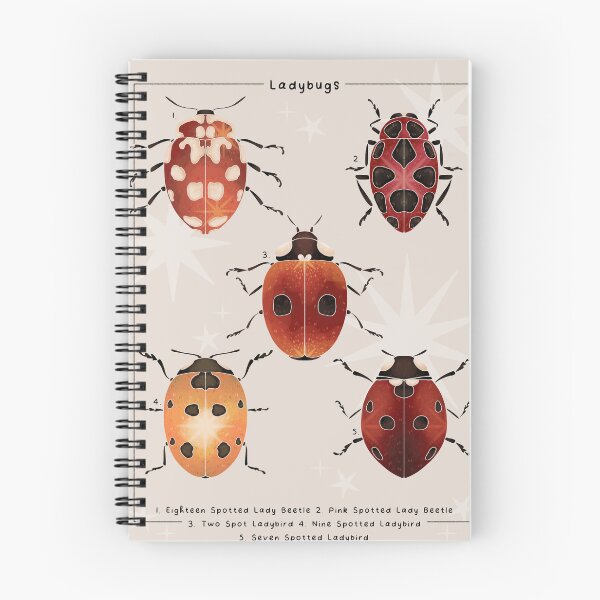 Item preview, Ladybug Field Guide Poster designed and sold by WyrdandWoven.
