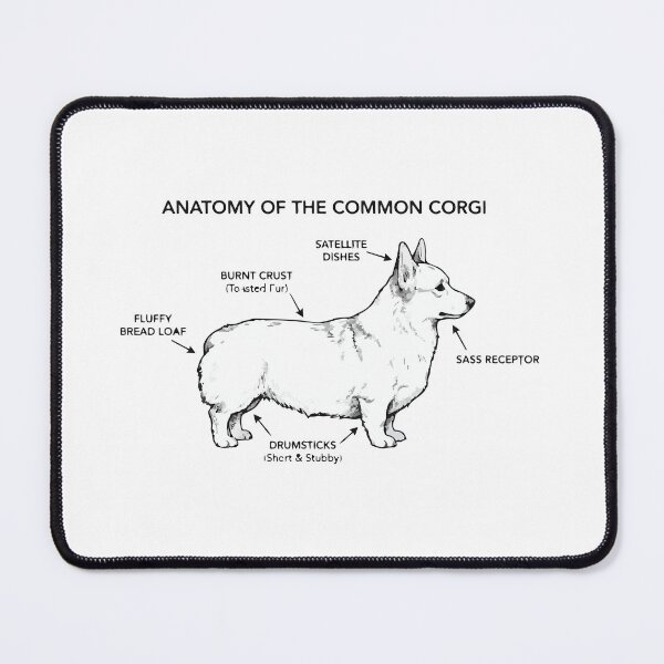 Item preview, Anatomy Of A Corgi Loaf Funny Diagram designed and sold by Petzzz.
