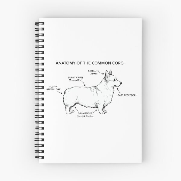 Item preview, Anatomy Of A Corgi Loaf Funny Diagram designed and sold by Petzzz.