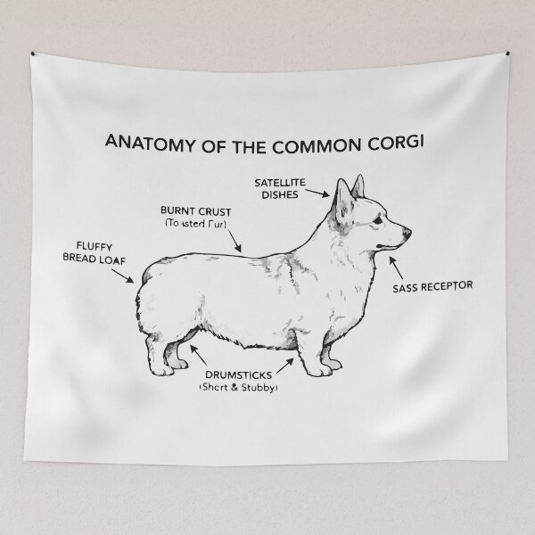 Item preview, Anatomy Of A Corgi Loaf Funny Diagram designed and sold by Petzzz.