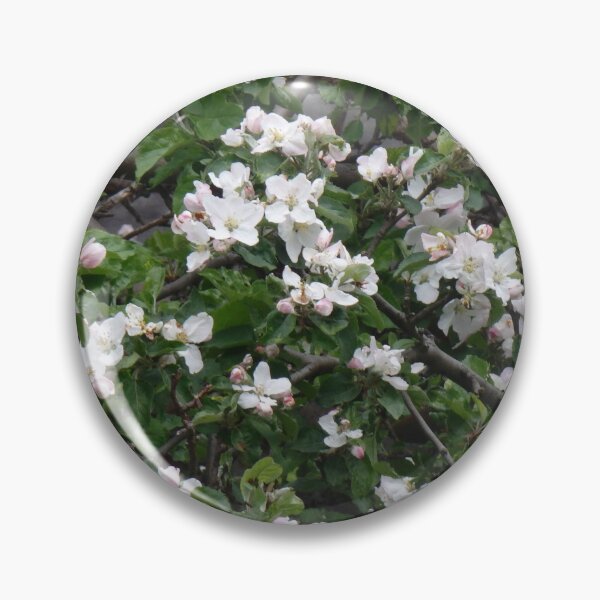 Item preview, Apple tree in full bloom designed and sold by Betulek.