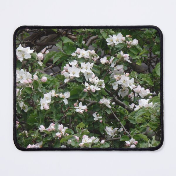 Item preview, Apple tree in full bloom designed and sold by Betulek.