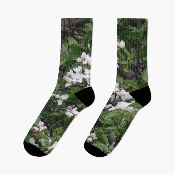Item preview, Apple tree in full bloom designed and sold by Betulek.