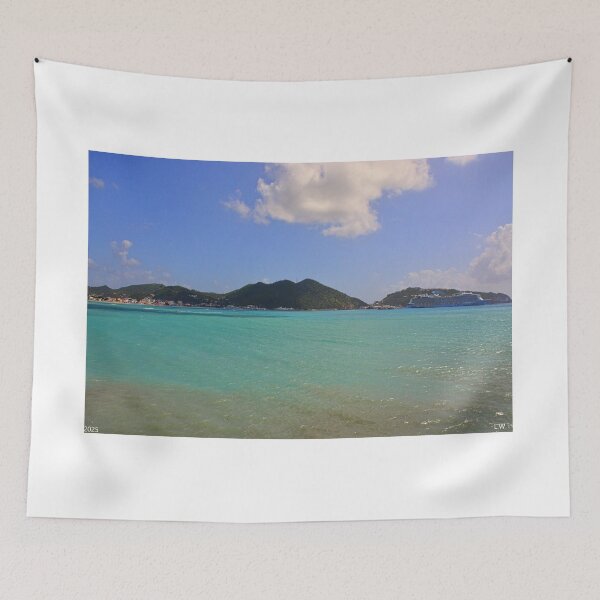 Item preview, Turquoise Water And Mountains St. Martin  designed and sold by LisaWootenPhoto.