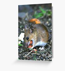 Two Into One Will Go Greeting Card