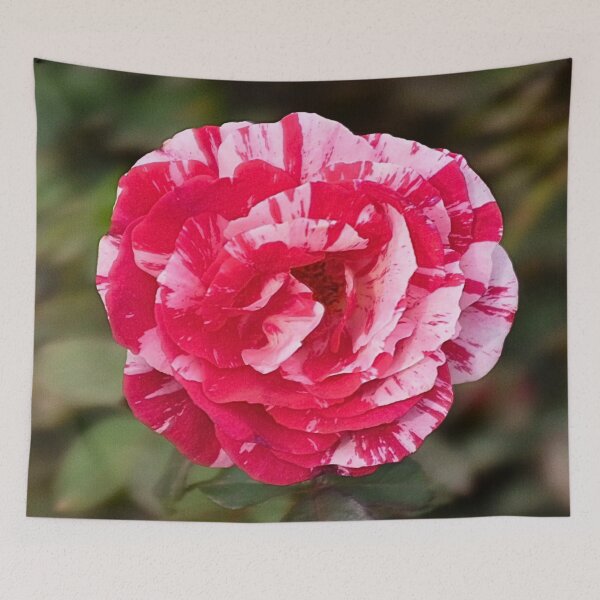 Item preview, 'Scentimental' Grandiflora/Floribunda Rose designed and sold by vinylenergyart.