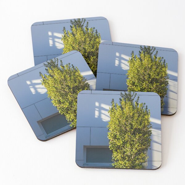 Item preview, Tall Shrub in a Concrete Planter Beside a Modern Blue Facade with Strong Sunlight Shadows designed and sold by Nmallia.