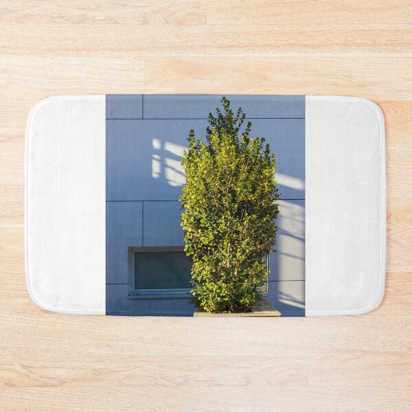 Item preview, Tall Shrub in a Concrete Planter Beside a Modern Blue Facade with Strong Sunlight Shadows designed and sold by Nmallia.