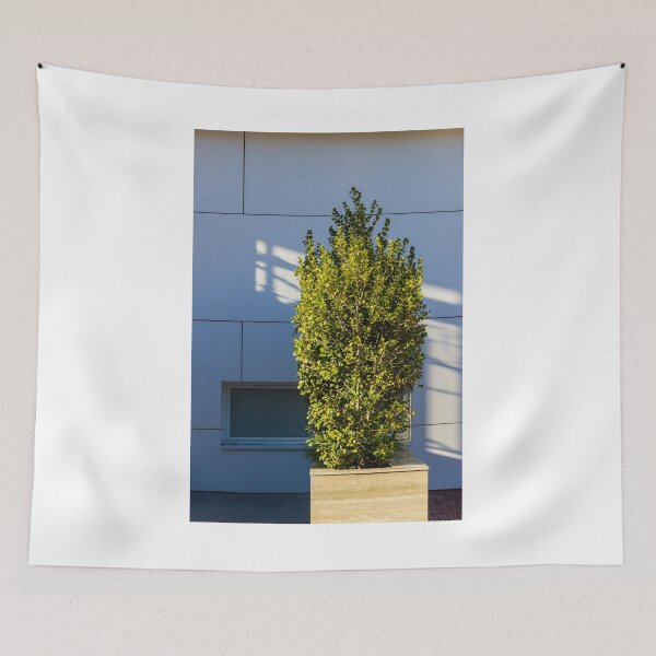 Item preview, Tall Shrub in a Concrete Planter Beside a Modern Blue Facade with Strong Sunlight Shadows designed and sold by Nmallia.