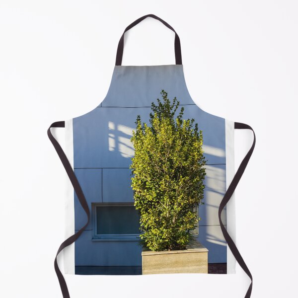Item preview, Tall Shrub in a Concrete Planter Beside a Modern Blue Facade with Strong Sunlight Shadows designed and sold by Nmallia.