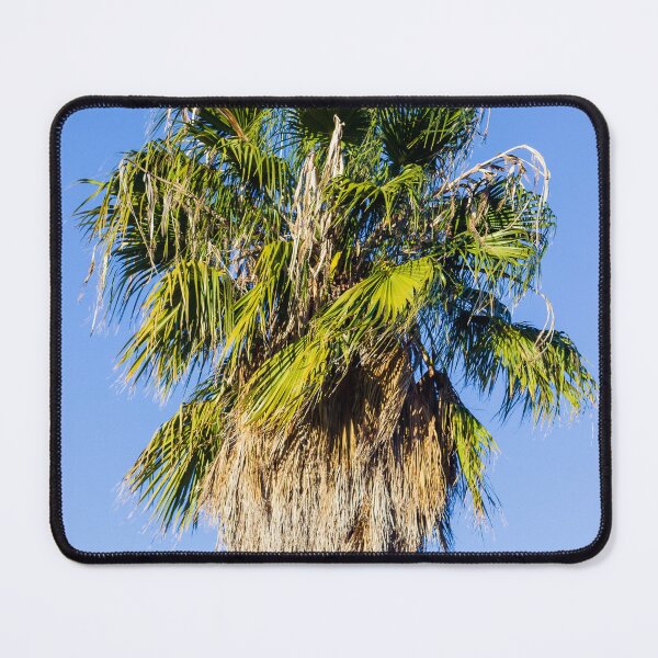 Item preview, Palm Tree With Green Fronds Against Clear Blue Sky In Sunny Outdoor Setting designed and sold by Nmallia.