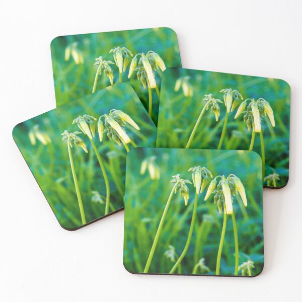 Item preview, Yellow Bell-Shaped Allium Flowers with Long Green Stems in a Bright Lush Green Field Scene designed and sold by Nmallia.