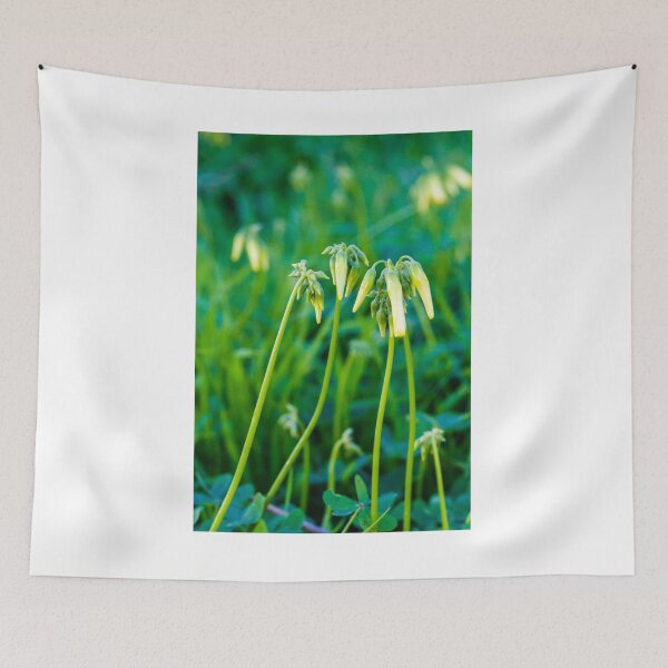 Item preview, Yellow Bell-Shaped Allium Flowers with Long Green Stems in a Bright Lush Green Field Scene designed and sold by Nmallia.