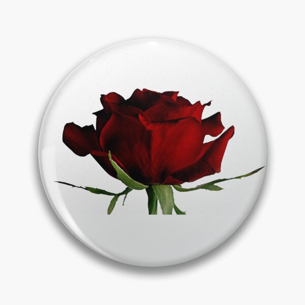 Item preview, Love from songs of Solomon Bible verse Christian design designed and sold by TheProverbsMom.