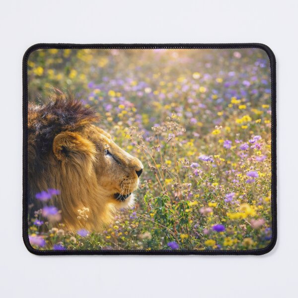 Item preview, Strength in Stillness designed and sold by Eliteemporia.