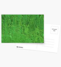 Old plaster Postcards