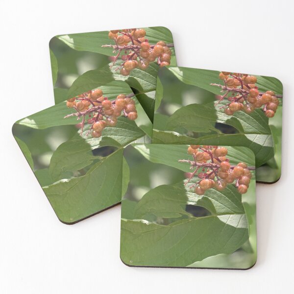 Item preview, Berries Close-Up with Defined Leaves designed and sold by EmpressWelbing.