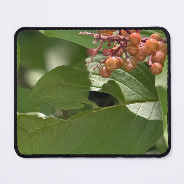 Item preview, Berries Close-Up with Defined Leaves designed and sold by EmpressWelbing.