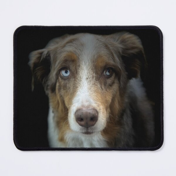 Item preview, Australian Shepherd Portrait  designed and sold by DeeplineArt.