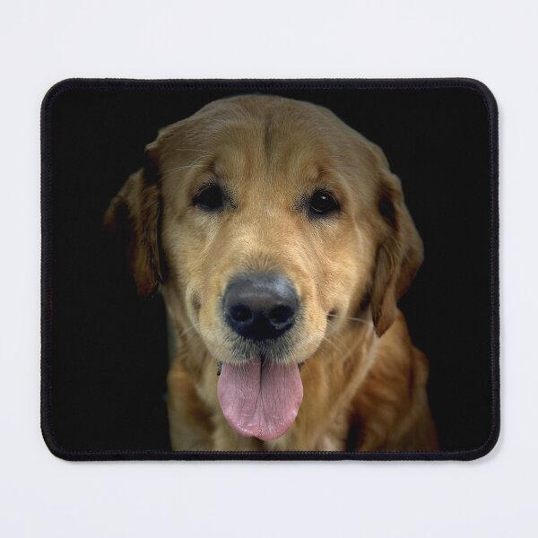 Item preview, Golden Retriever Portrait designed and sold by DeeplineArt.