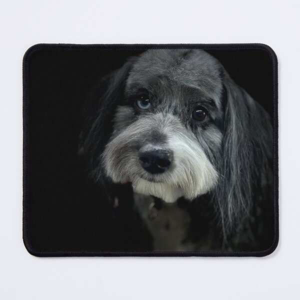 Item preview, Cockapoo Portrait designed and sold by DeeplineArt.