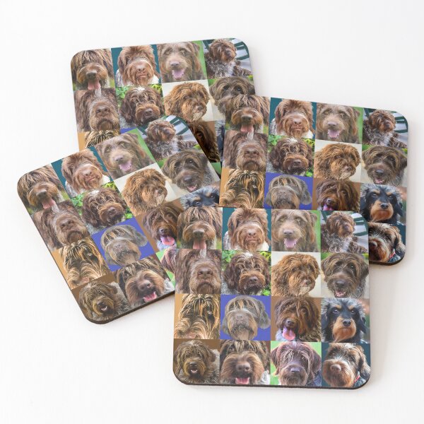 Item preview, Senior Griff Collection 2026 designed and sold by boesarts.