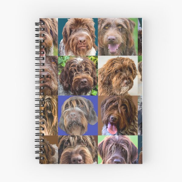 Artikelvorschau, Senior Griff Kollektion 2026 entworfen und verkauft von boesarts.
