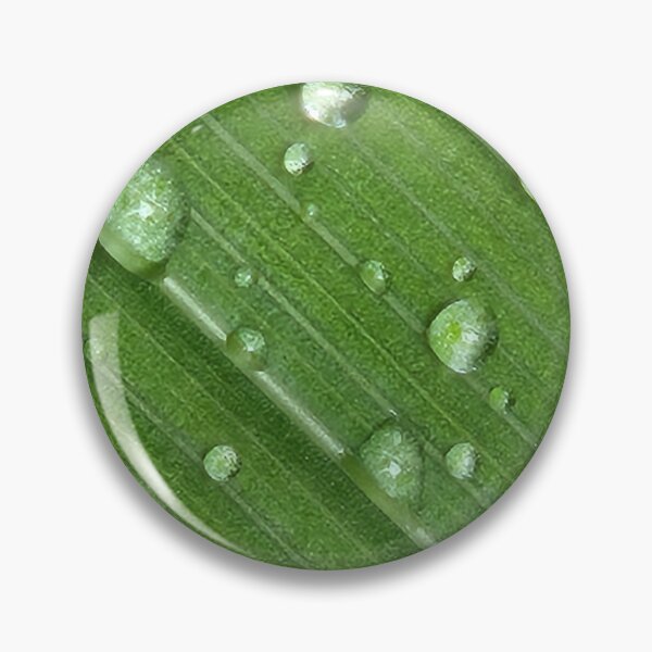 Aperçu de l'œuvre Après la pluie créée et vendue par EveryDayWorld.