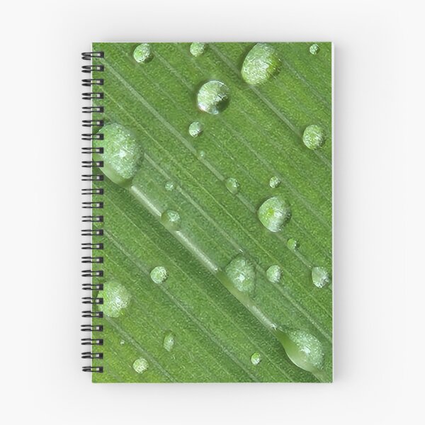 Aperçu de l'œuvre Après la pluie créée et vendue par EveryDayWorld.