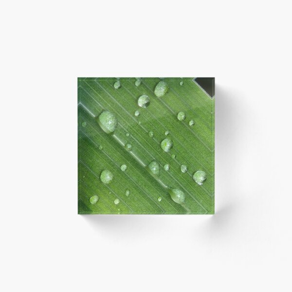 Item preview, After the Rain designed and sold by EveryDayWorld.