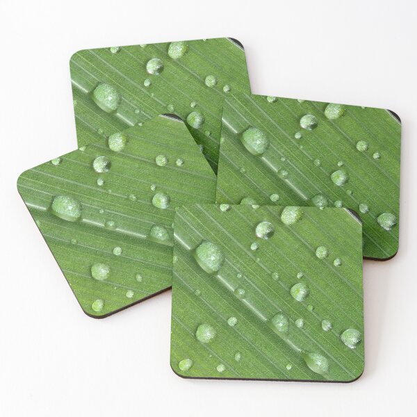 Item preview, After the Rain designed and sold by EveryDayWorld.