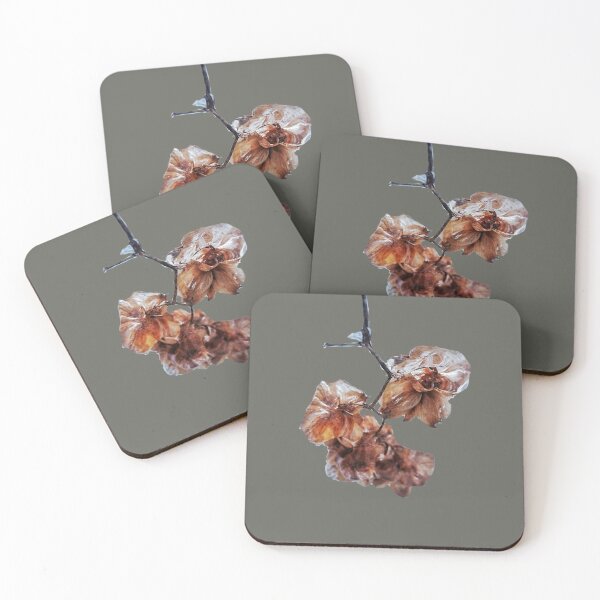 Item preview, Dried hop cones in ice designed and sold by Enerjetal.