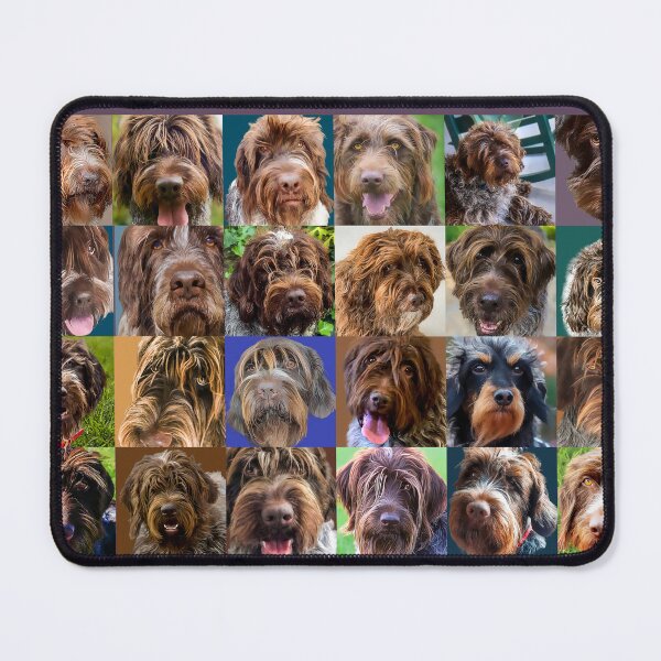 Item preview, Senior Griff Collection large designed and sold by boesarts.
