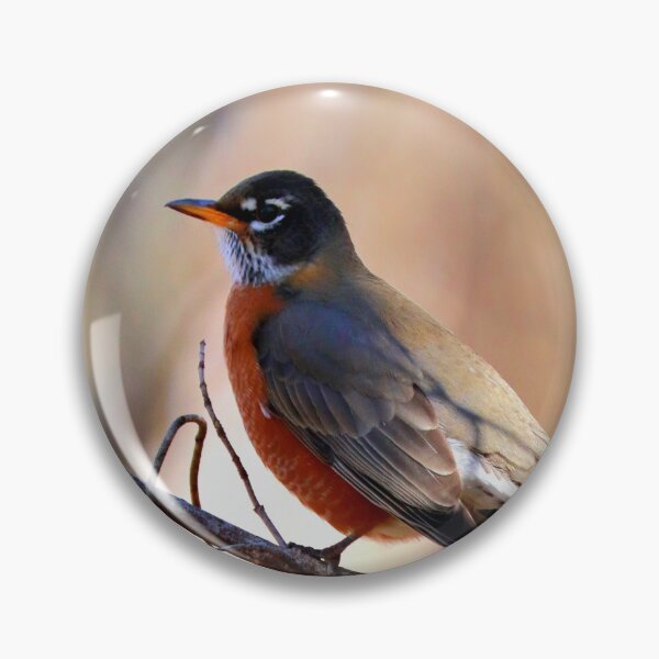 Item preview, Robin designed and sold by Parks and X.
