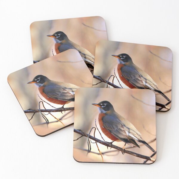 Item preview, Robin designed and sold by Parks and X.