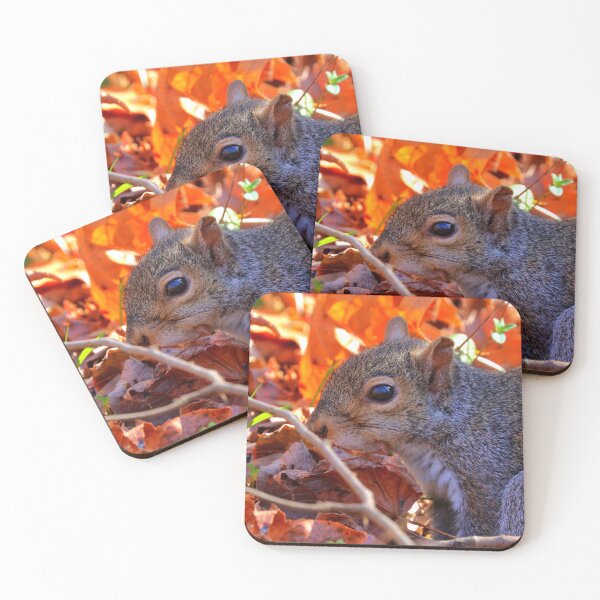 Item preview, Squirrel  designed and sold by Parks and X.