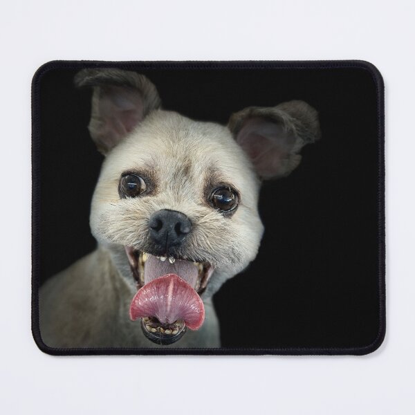 Item preview, Shih Tzu Terrier Mix Portrait designed and sold by DeeplineArt.