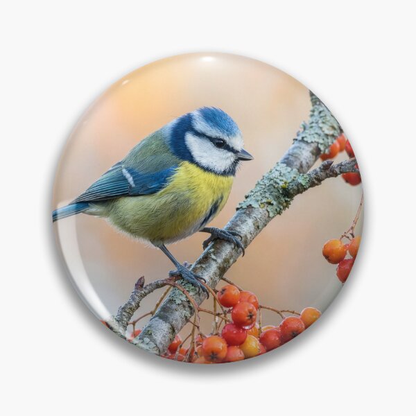 Item preview, Little Blue Tit on Rowan Branch designed and sold by Tridentulus.
