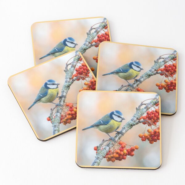 Item preview, Little Blue Tit on Rowan Branch designed and sold by Tridentulus.