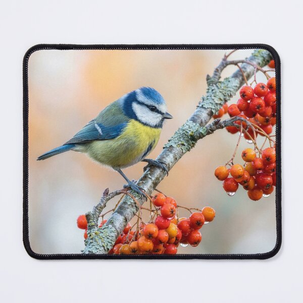 Item preview, Little Blue Tit on Rowan Branch designed and sold by Tridentulus.