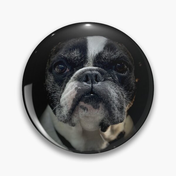 Item preview, Boston Terrier Portrait  designed and sold by DeeplineArt.