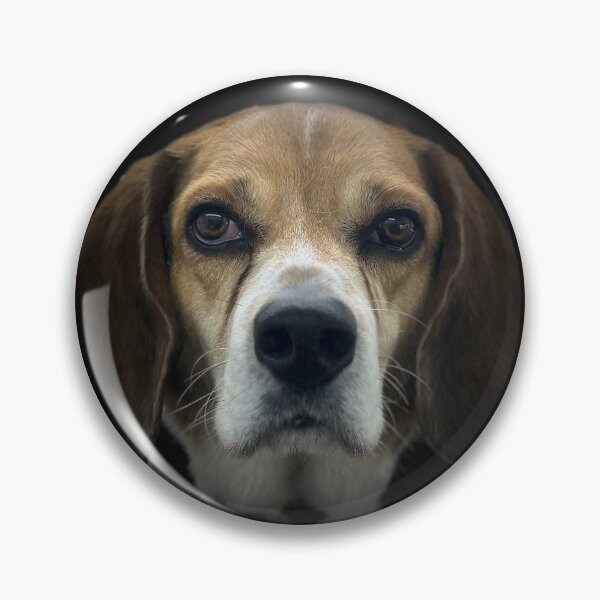 Item preview, Beagle Portrait  designed and sold by DeeplineArt.