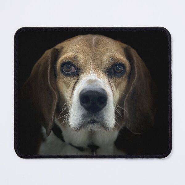 Item preview, Beagle Portrait designed and sold by DeeplineArt.