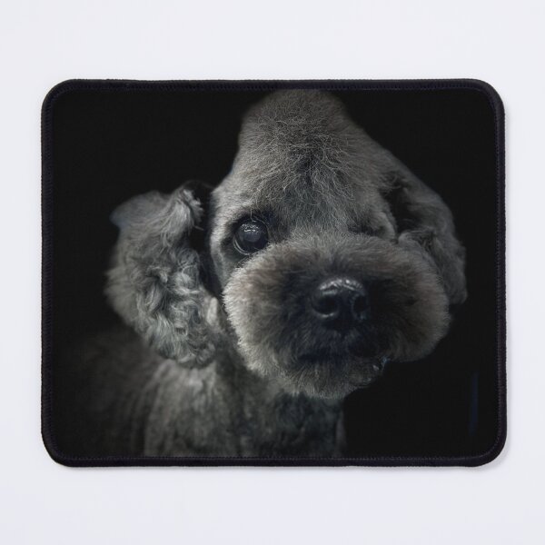 Item preview, Poodle Portrait  designed and sold by DeeplineArt.