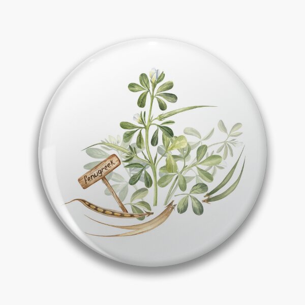 Item preview, Fenugreek Plant and Beans designed and sold by Flowersforbear.