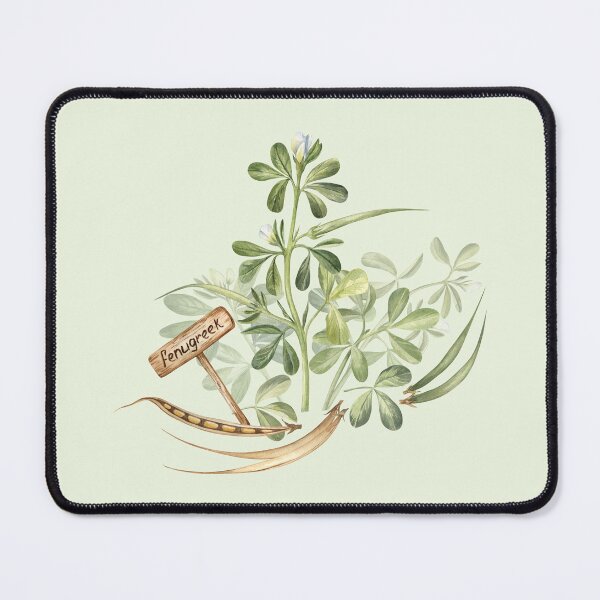 Item preview, Fenugreek Plant and Beans designed and sold by Flowersforbear.