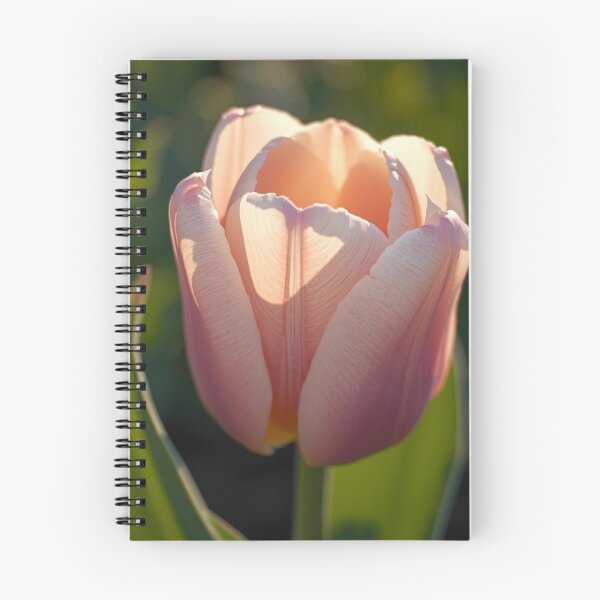Item preview, Macro Flowers Photography - tulip designed and sold by tipitoes.