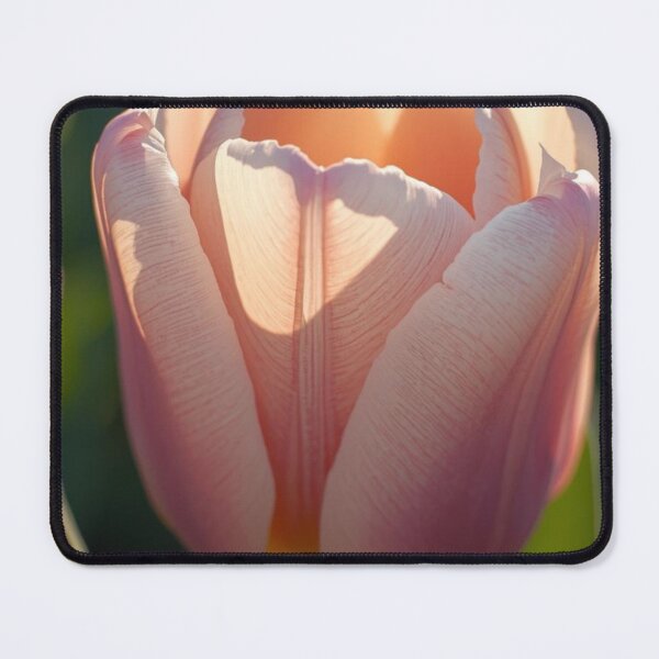 Item preview, Macro Flowers Photography - tulip designed and sold by tipitoes.